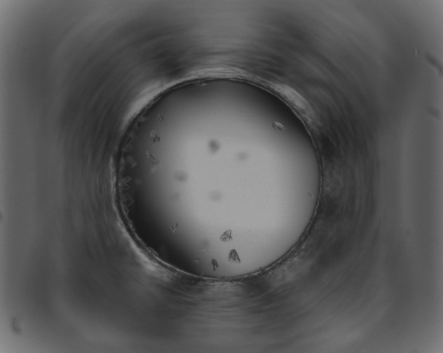 X0000095681430200801221216
