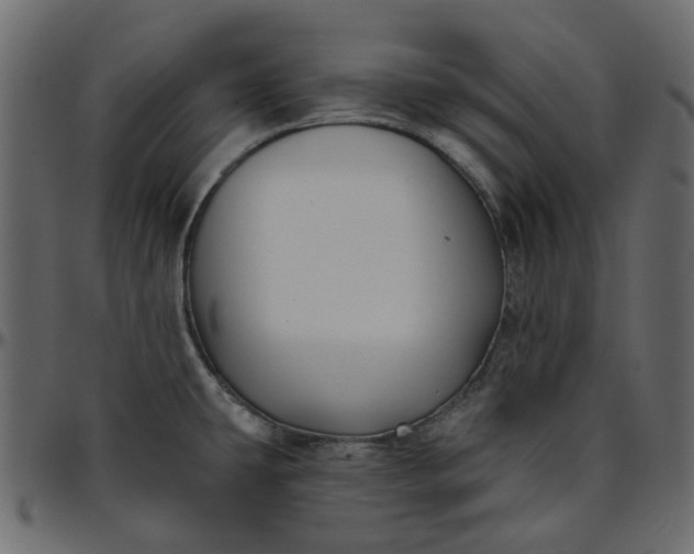 X0000095681431200801221216