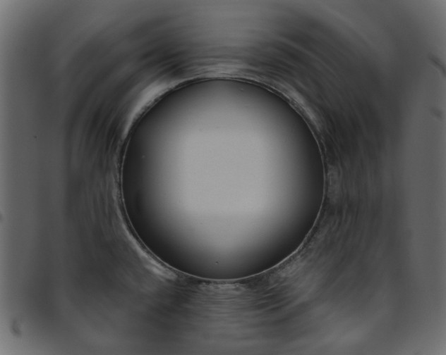 X0000095681432200801221216