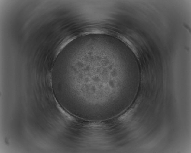 X0000095681433200801221216
