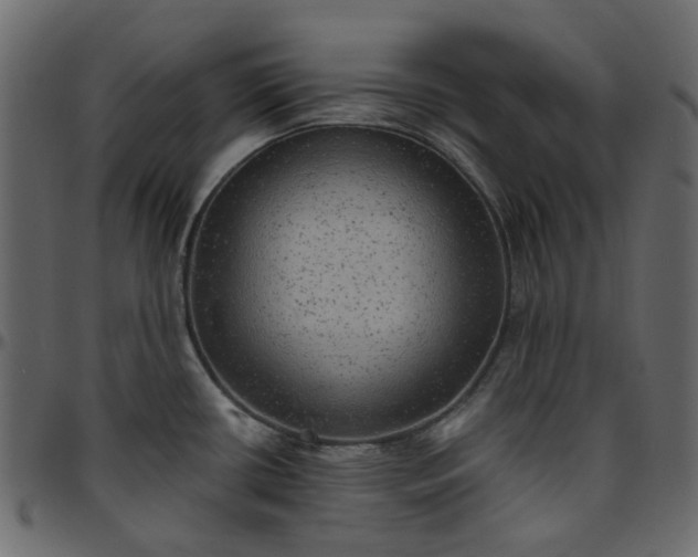 X0000095681434200801221216