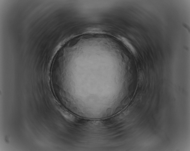X0000095681435200801221216