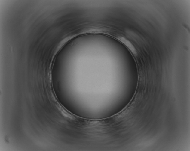 X0000095681436200801221216
