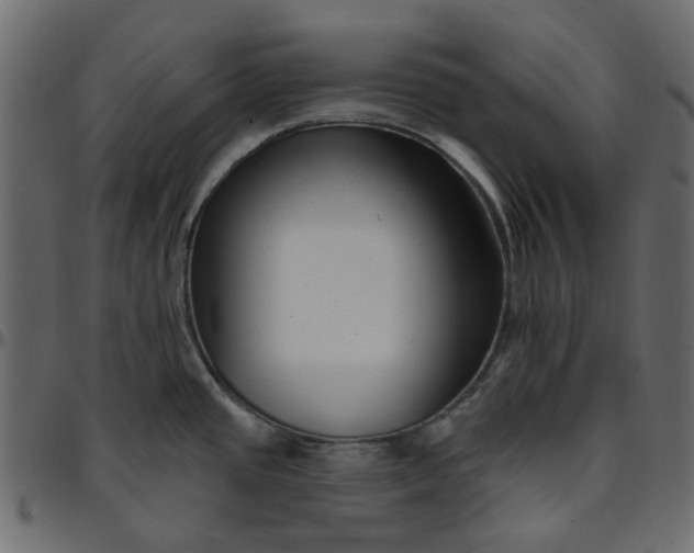 X0000095681437200801221216