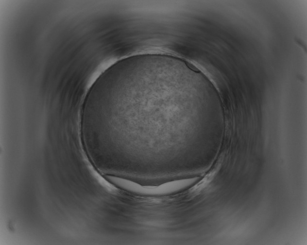 X0000095681438200801221216