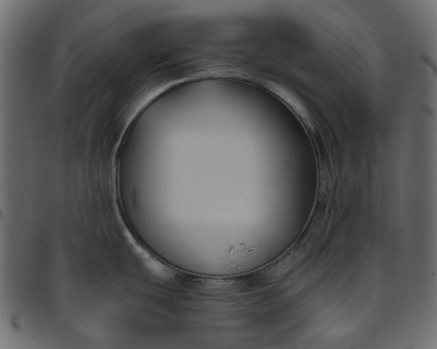 X0000095681439200801221216