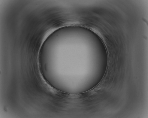 X0000095681440200801221216