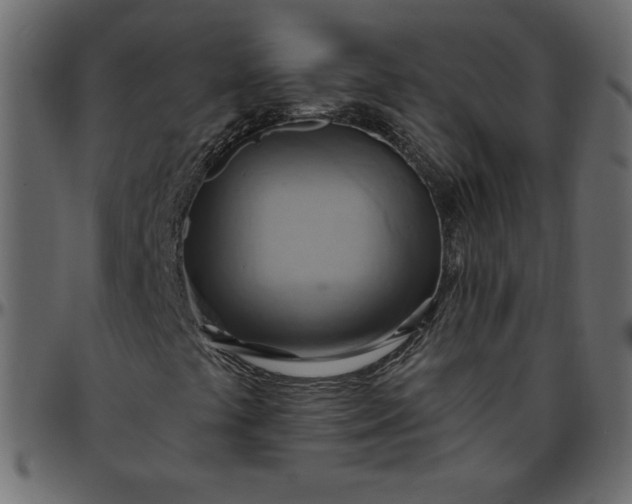 X0000095681441200801221215