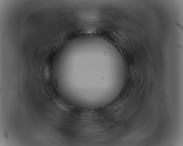 X0000095681442200801221215