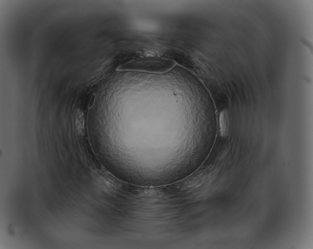 X0000095681443200801221215