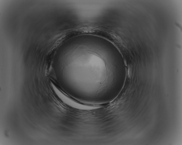 X0000095681444200801221215