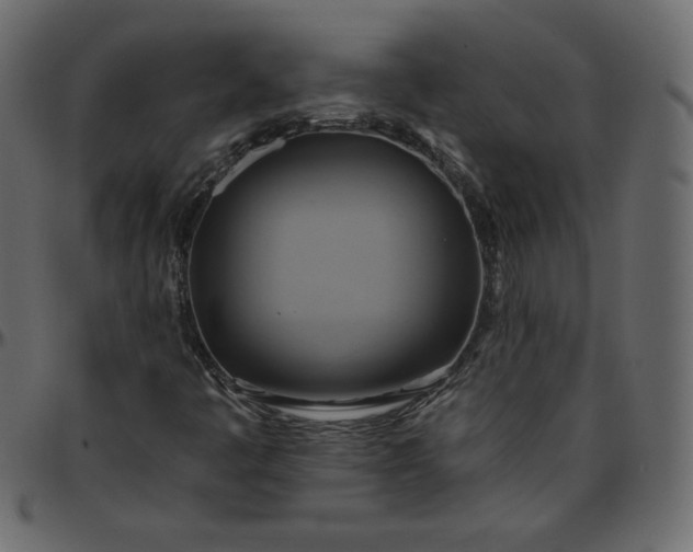X0000095681445200801221215