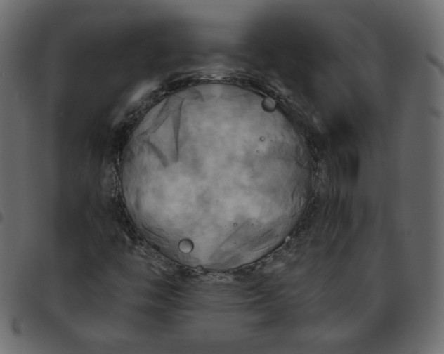 X0000095681446200801221215
