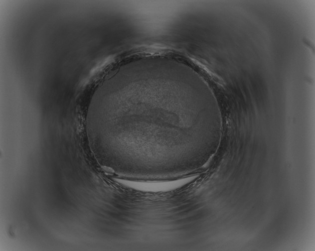 X0000095681447200801221215