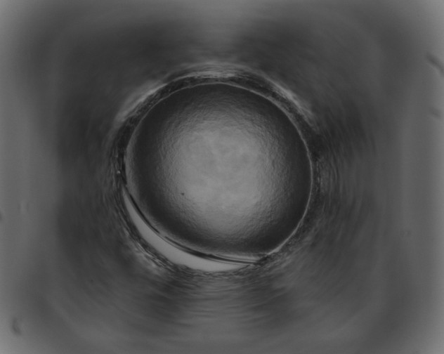 X0000095681448200801221215