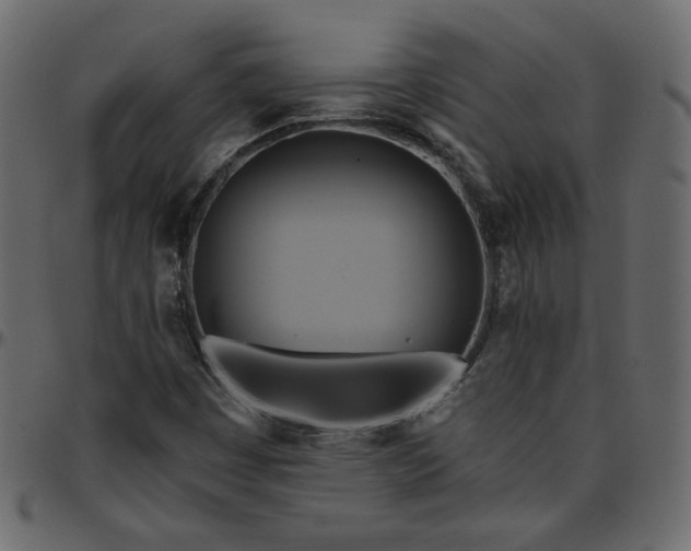 X0000095681449200801221215