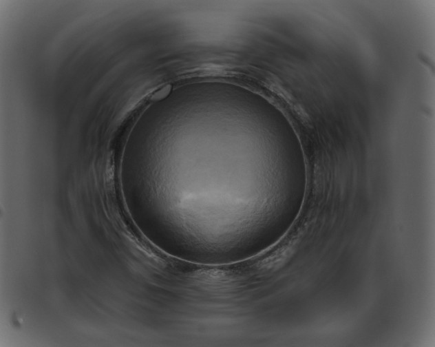 X0000095681450200801221215