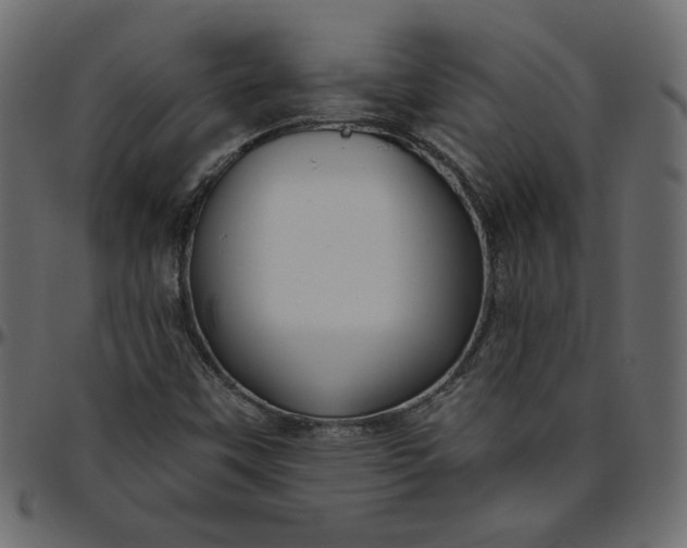 X0000095681451200801221215