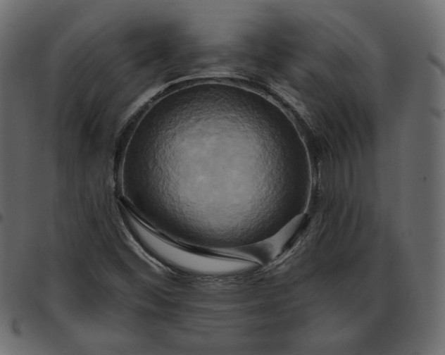 X0000095681452200801221215