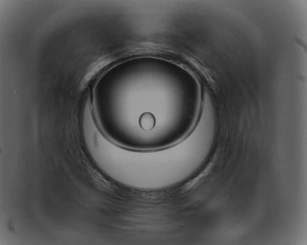X0000095681453200801221215