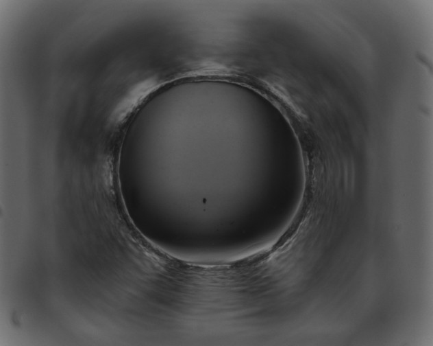 X0000095681455200801221215
