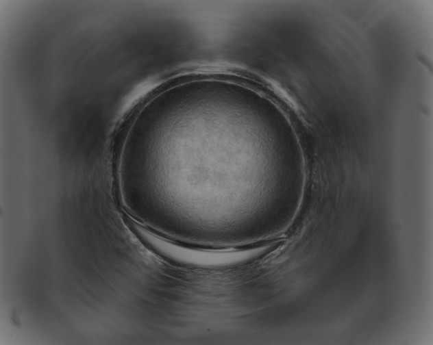 X0000095681456200801221215