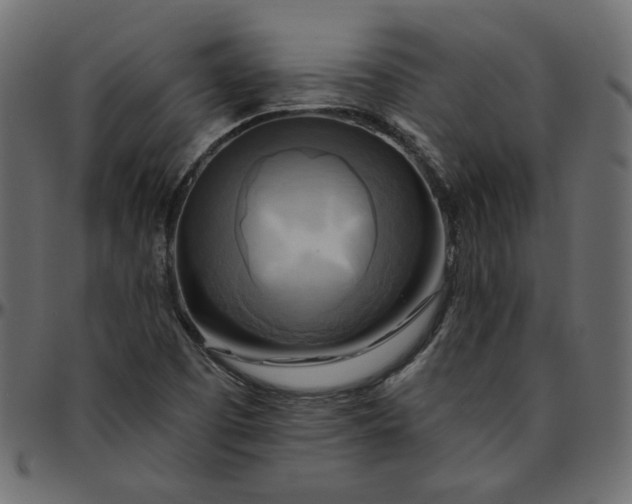 X0000095681457200801221215