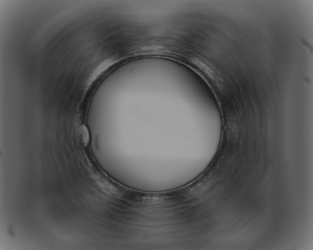 X0000095681458200801221215