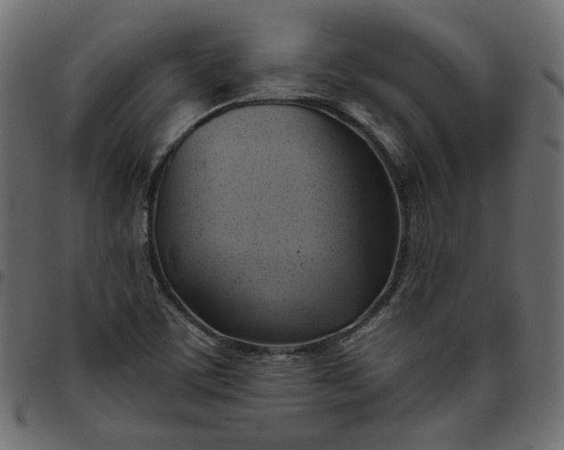 X0000095681459200801221215