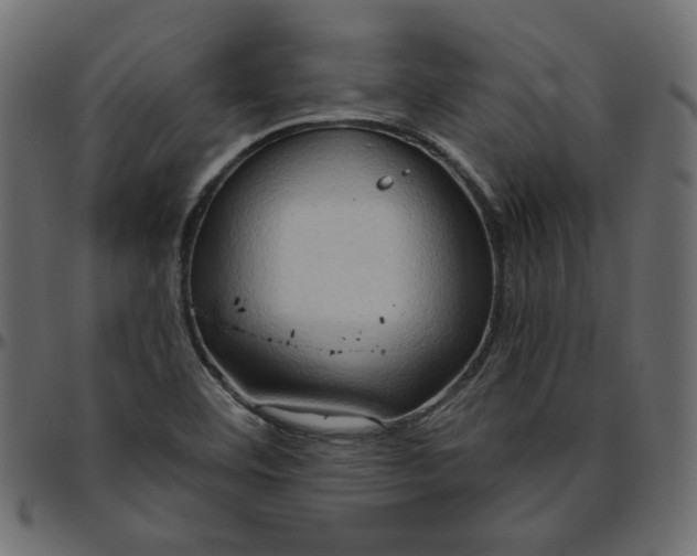 X0000095681460200801221215