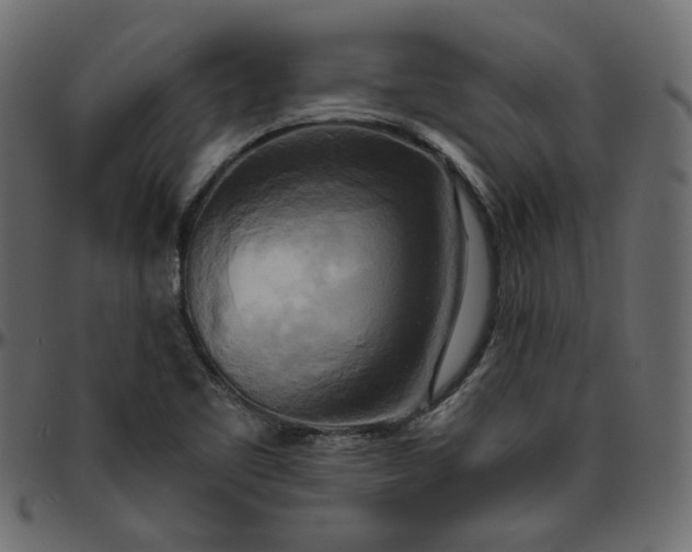 X0000095681461200801221215