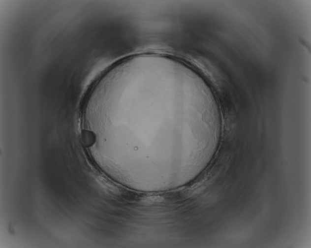 X0000095681462200801221215