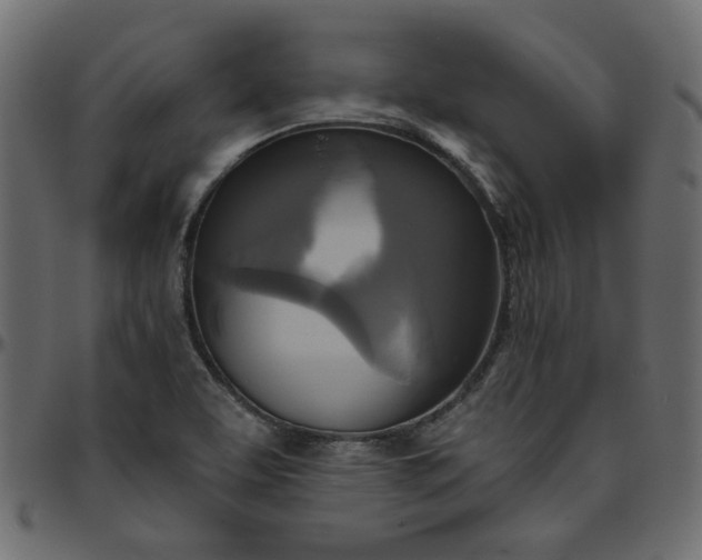 X0000095681463200801221215