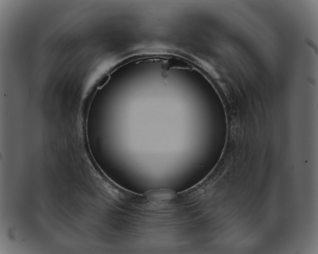 X0000095681464200801221215