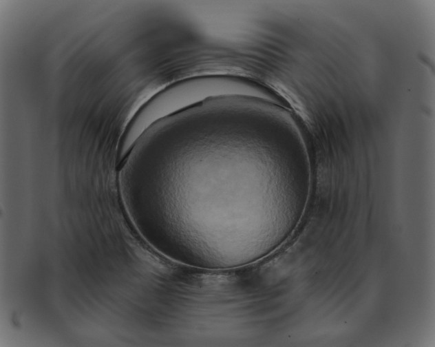 X0000095681465200801221215