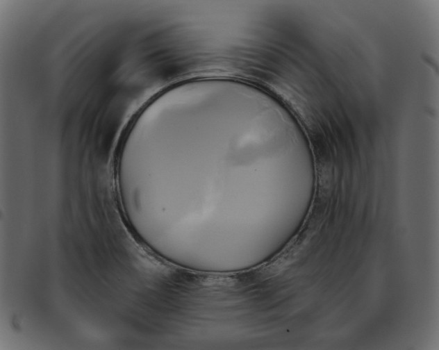X0000095681466200801221215