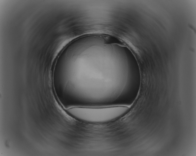 X0000095681468200801221215