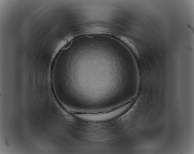 X0000095681469200801221215