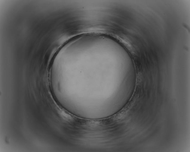 X0000095681470200801221215