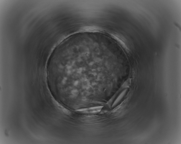 X0000095681471200801221215