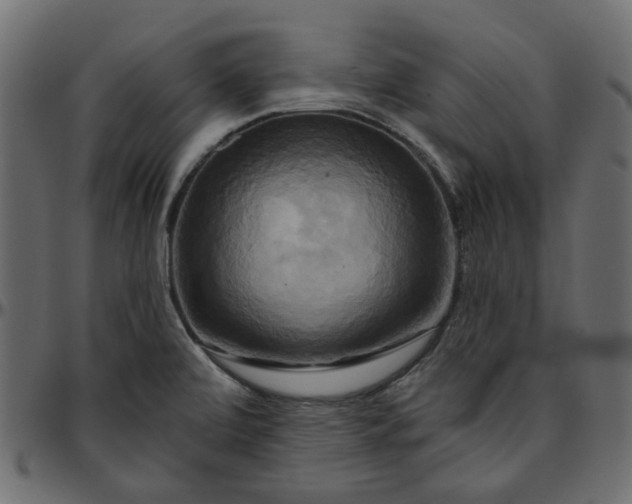 X0000095681472200801221215