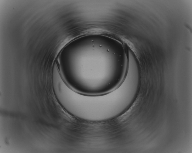 X0000095681473200801221215