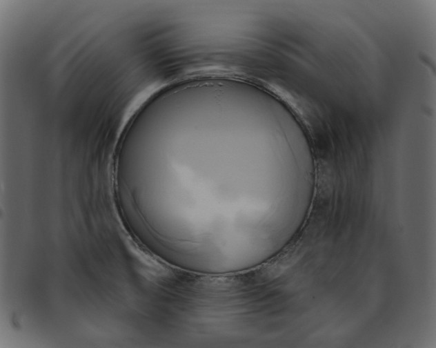 X0000095681474200801221215