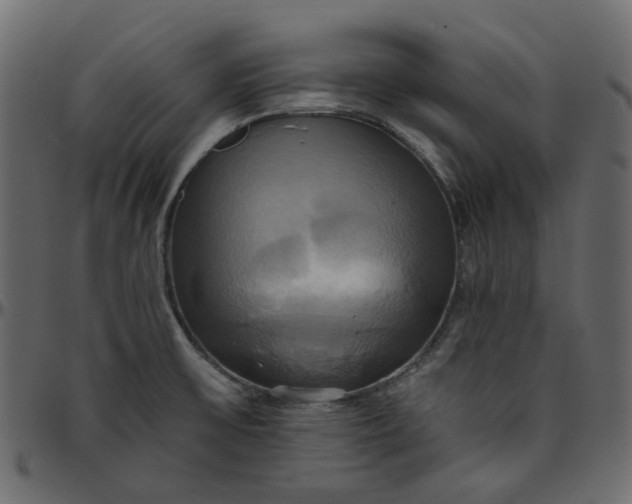 X0000095681475200801221215