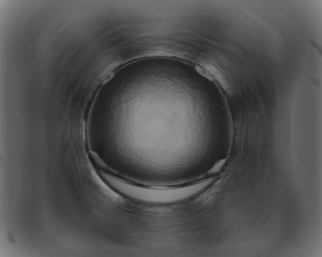 X0000095681476200801221215