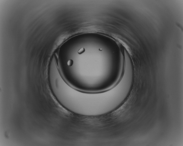 X0000095681477200801221215
