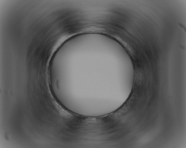 X0000095681478200801221215