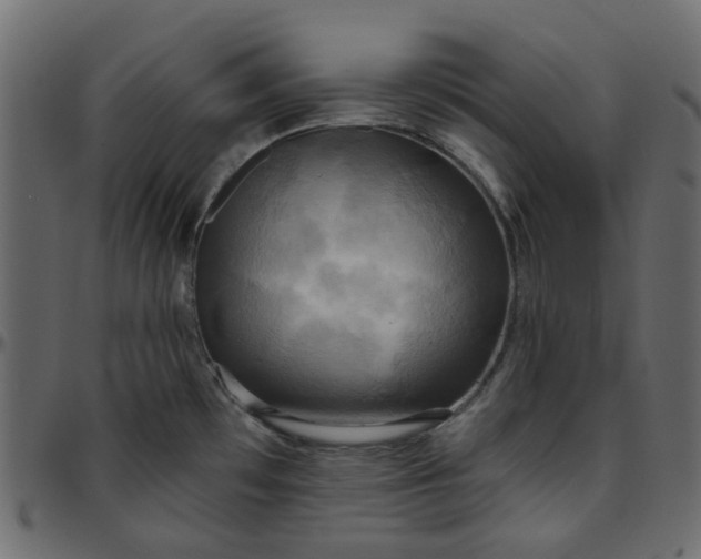 X0000095681481200801221215