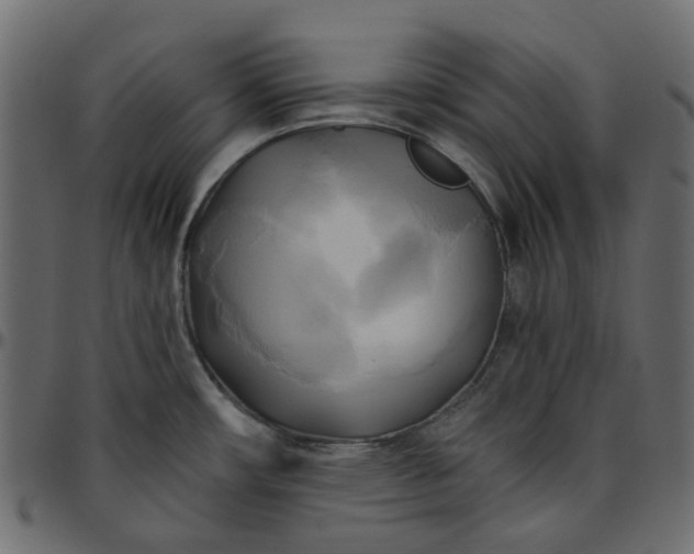X0000095681482200801221215