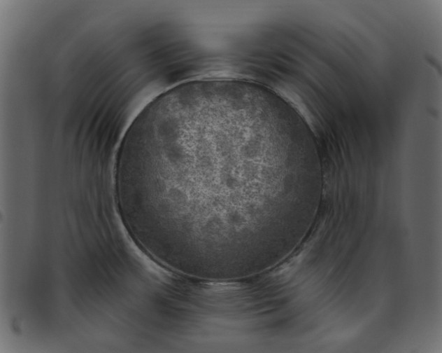 X0000095681483200801221215